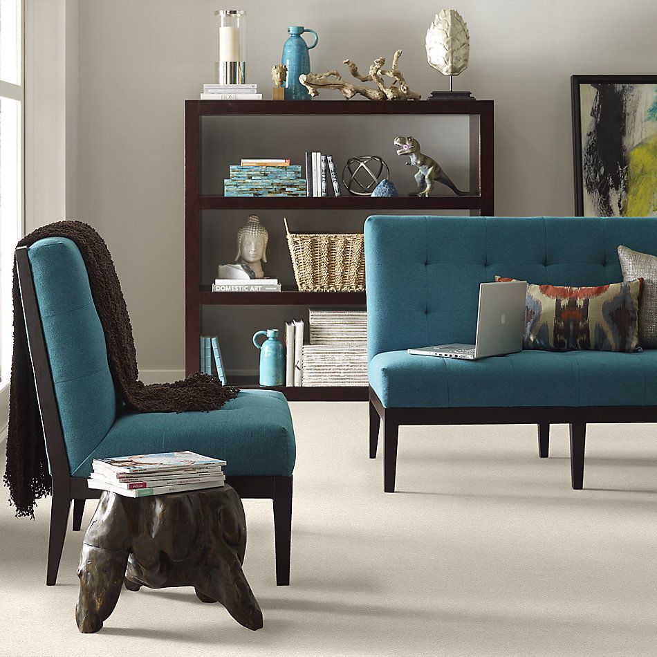 Shaw Floors Nfa/Apg Take the Floor Texture I Modern Loft 5.00E+05_00154