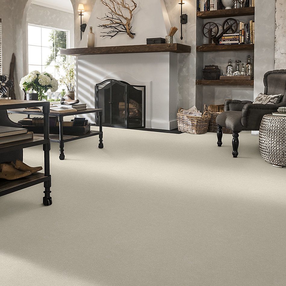 Shaw Floors Nfa/Apg Take the Floor Texture II Modern Loft 5.00E+06_00154