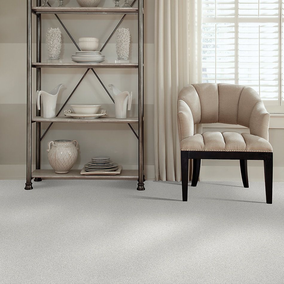 Shaw Floors Value Collections Take The Floor Tonal II Net Orion 00160_5E073