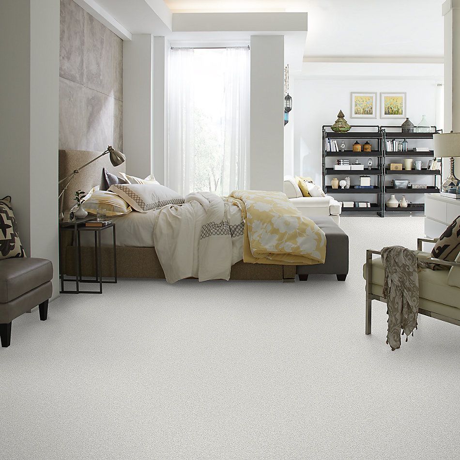 Shaw Floors Value Collections Take The Floor Tonal II Net Orion 00160_5E073