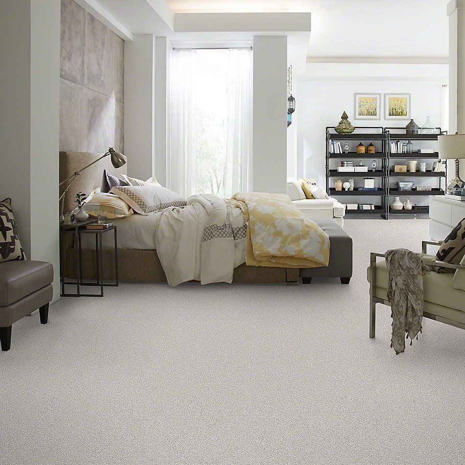 Shaw Floors Foundations Take The Floor Tonal II Classique 00161_5E009