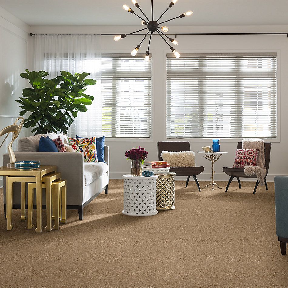 Anderson Tuftex Effortless Days Nevada Sand 00162_865DF