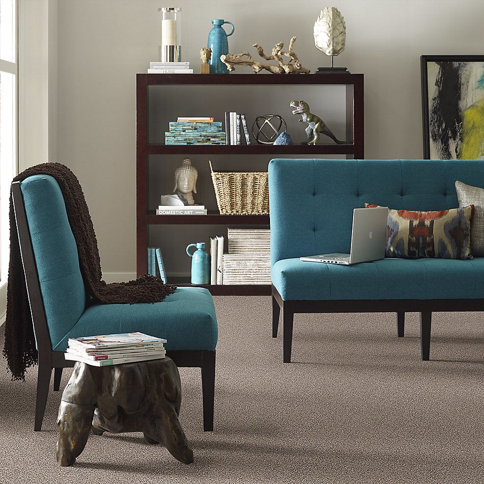 Shaw Floors Value Collections Take The Floor Tonal Blue Net Triumph 00164_5E074