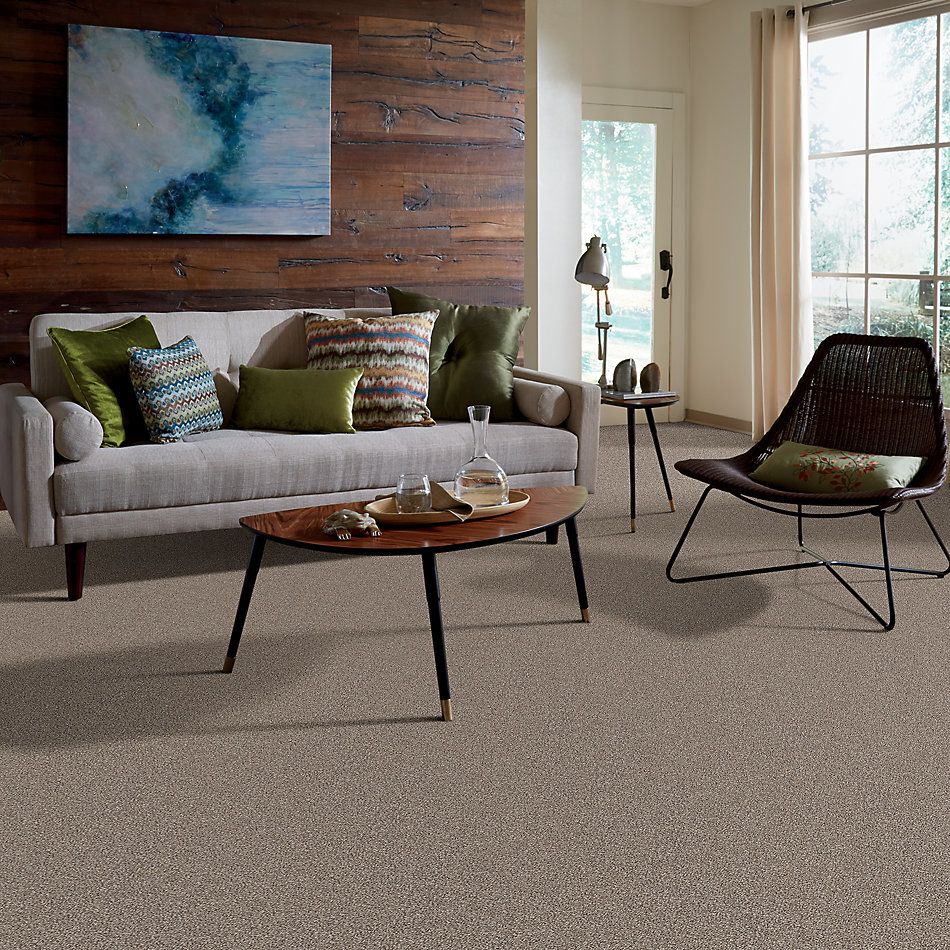 Shaw Floors Nfa/Apg Take the Floor Tonal II Triumph 5.00E+09_00164