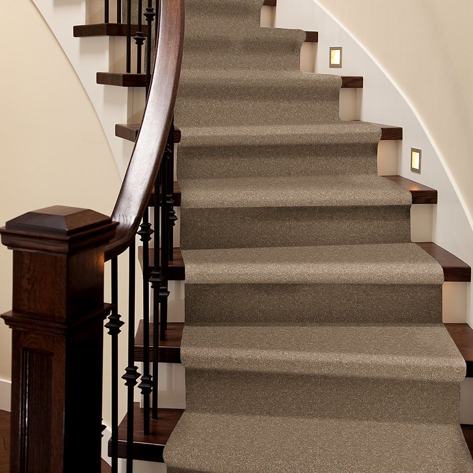 Shaw Floors Nfa Refinement Mountain Lion 00166_NA151