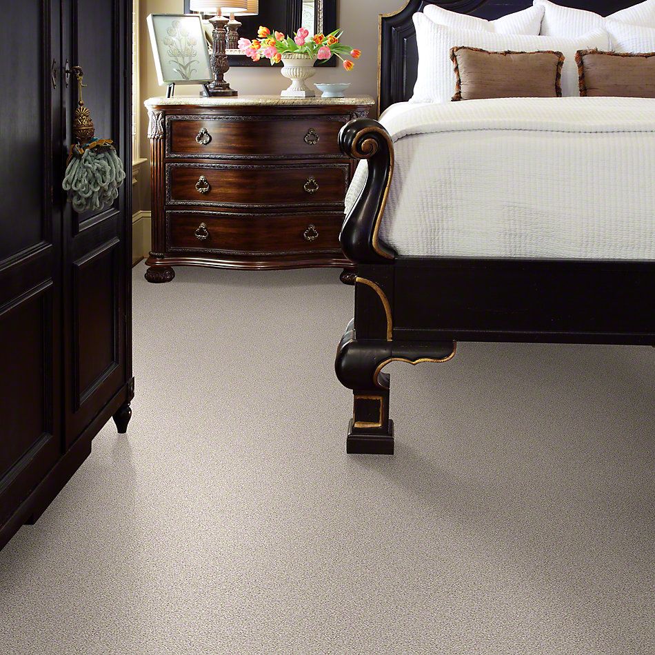 Shaw Floors Foundations Take The Floor Tonal II Statuary 00167_5E009