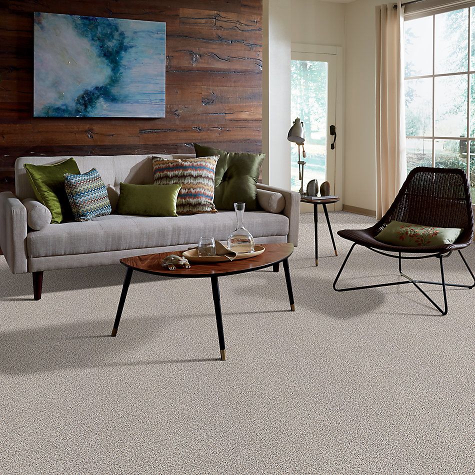 Shaw Floors Nfa/Apg Take the Floor Accent II Italiano 5.00E+12_00170
