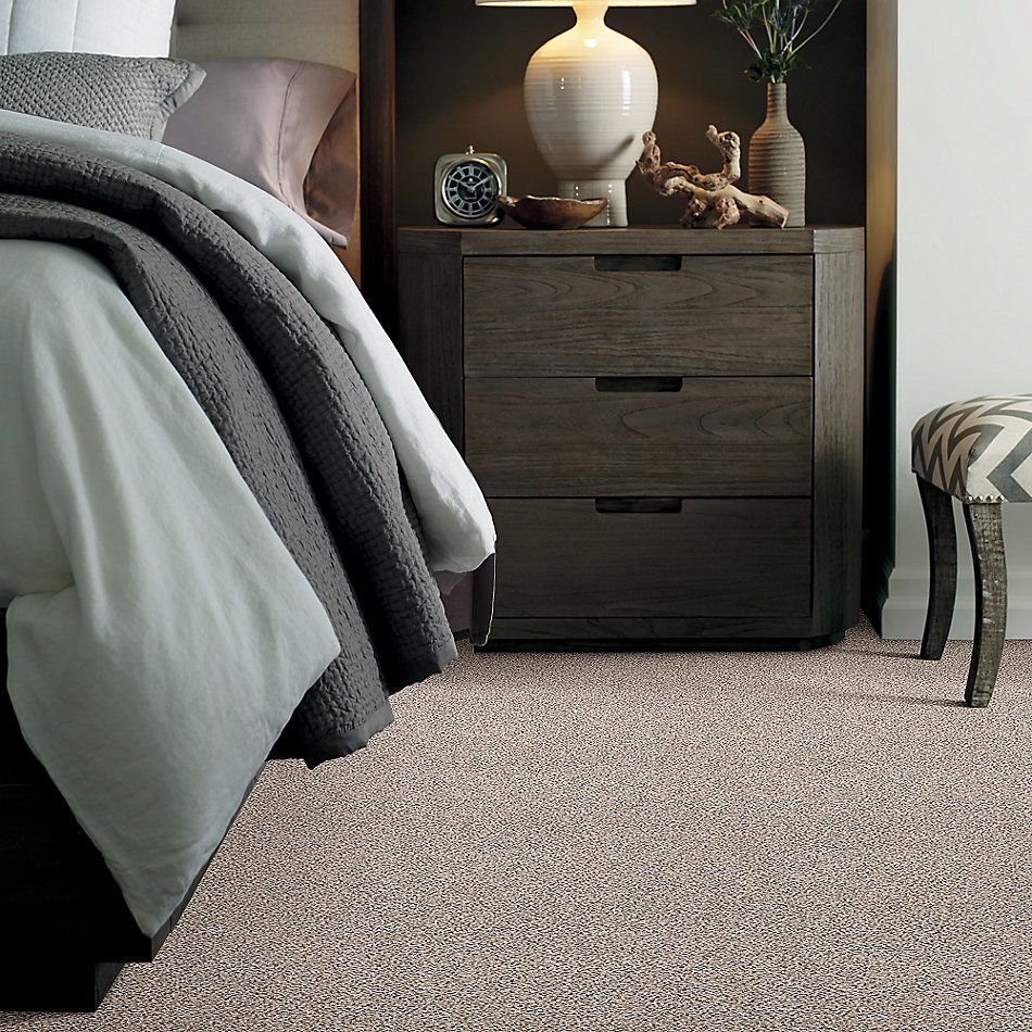 Shaw Floors Value Collections Take The Floor Accent Blue Net Riverbed 00171_5E077