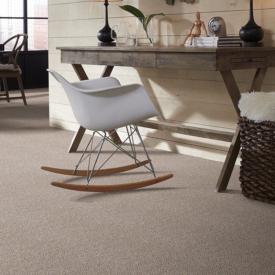 Shaw Floors Value Collections Take The Floor Accent Blue Net Riverbed 00171_5E077