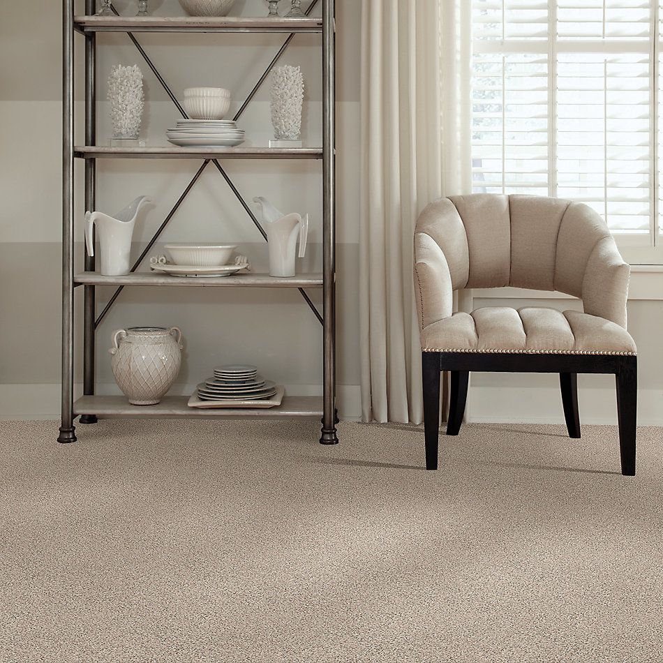 Shaw Floors Foundations Elemental Mix II Net Gentle Rain 00171_E9678