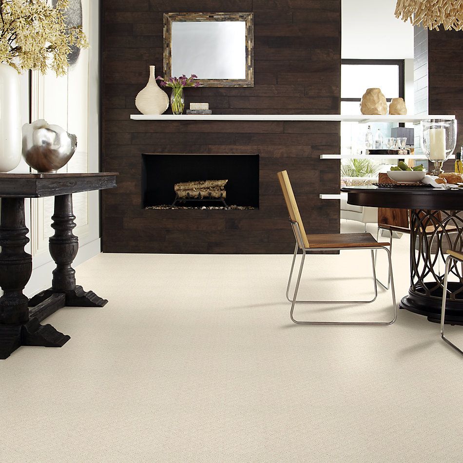 Shaw Floors Value Collections Entwined With You Net Alabaster 00172_E9809