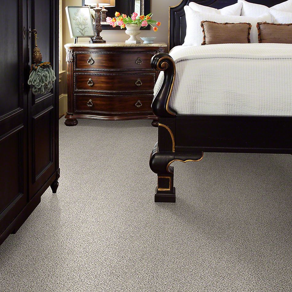 Shaw Floors Take The Floor Accent II Avalanche 00173_5E012