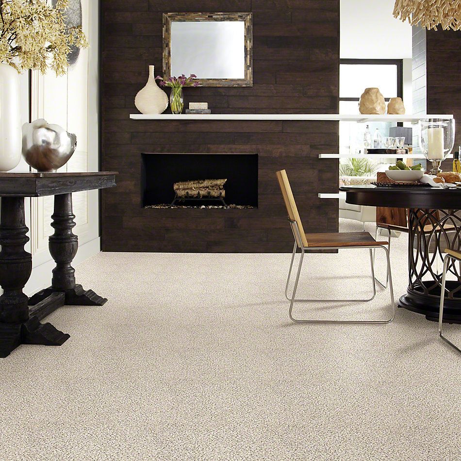 Shaw Floors Foundations Elemental Mix II Swiss Coffee 00173_E9565
