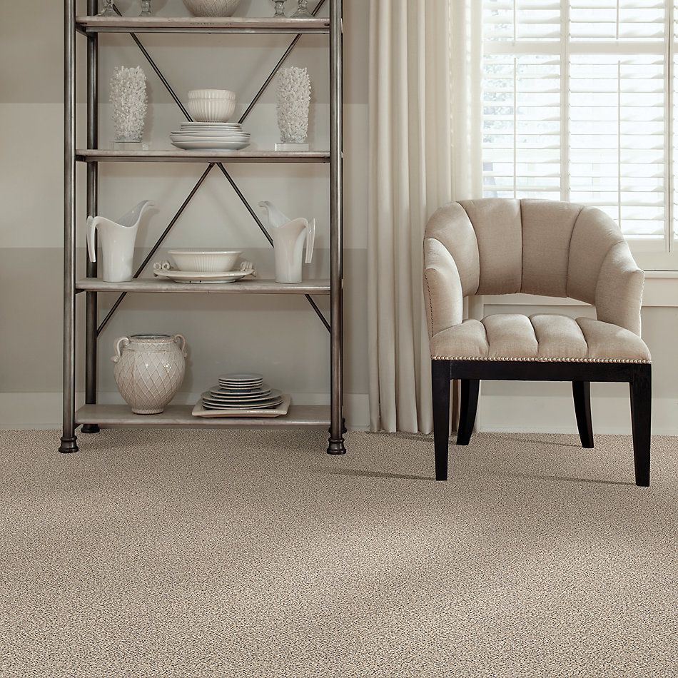 Shaw Floors Nfa/Apg Take the Floor Accent I Luna 5.00E+11_00174