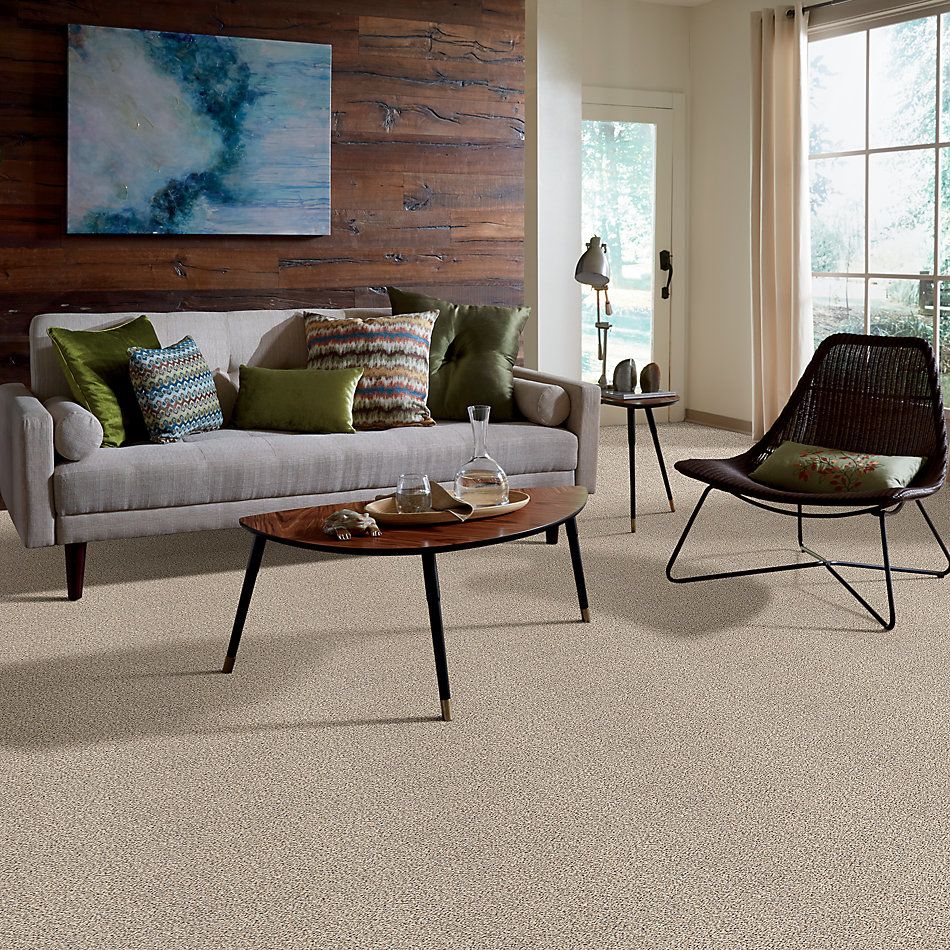 Shaw Floors Nfa/Apg Take the Floor Accent II Luna 5.00E+12_00174