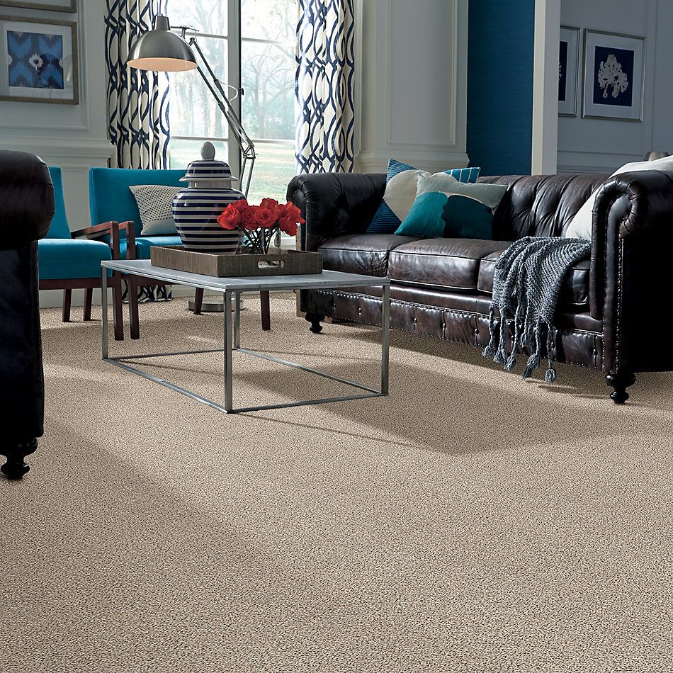 Shaw Floors Nfa/Apg Take the Floor Accent Blue Luna 5.00E+13_00174