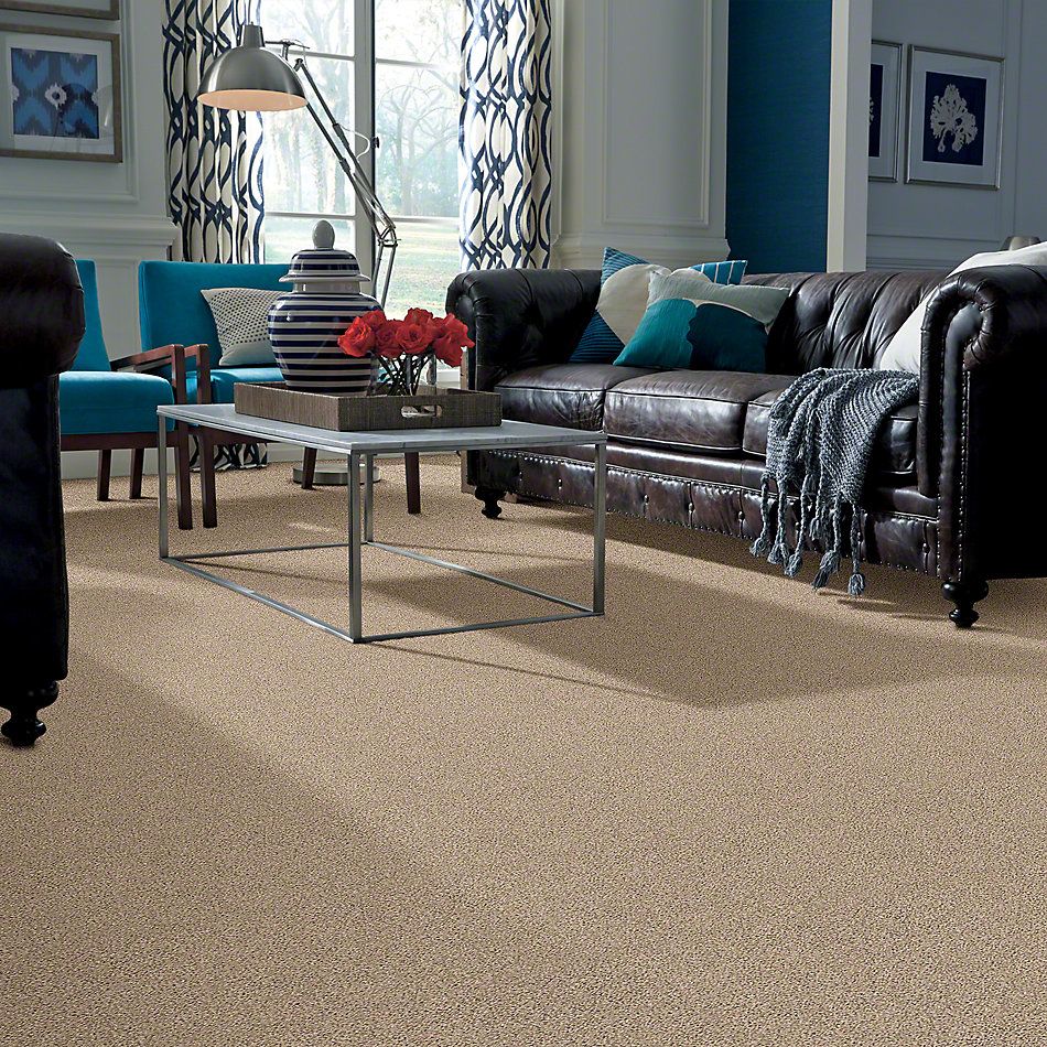 Shaw Floors Elemental Mix I Twine 00175_E9564
