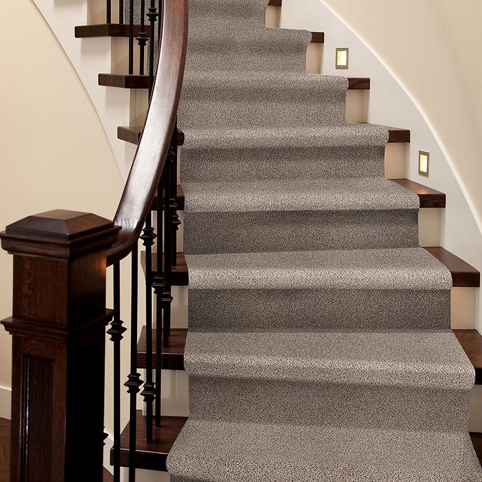 Shaw Floors Nfa/Apg Take the Floor Accent I Everest 5.00E+11_00176