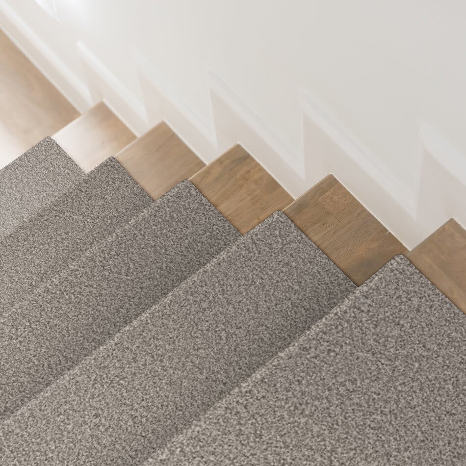 Shaw Floors Tweed Comfort II TEXTURE Stand Out IS-00177_5E662