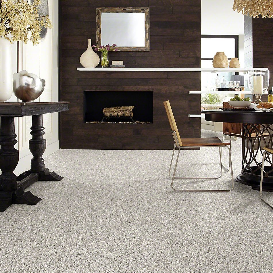 Shaw Floors Elemental Mix I Whitewash 00177_E9564