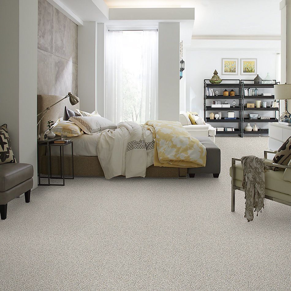 Shaw Floors Foundations Elemental Mix I Net Whitewash 00177_E9677