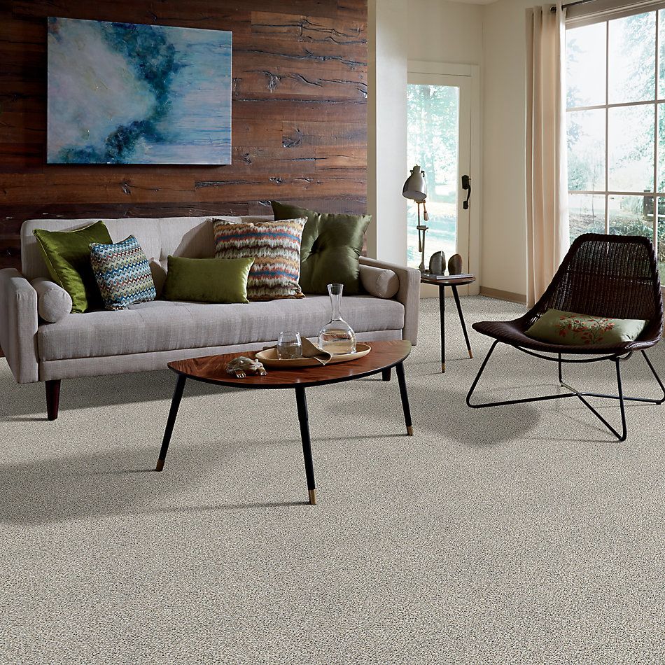 Shaw Floors Foundations Elemental Mix I Net Snowbound 00178_E9677