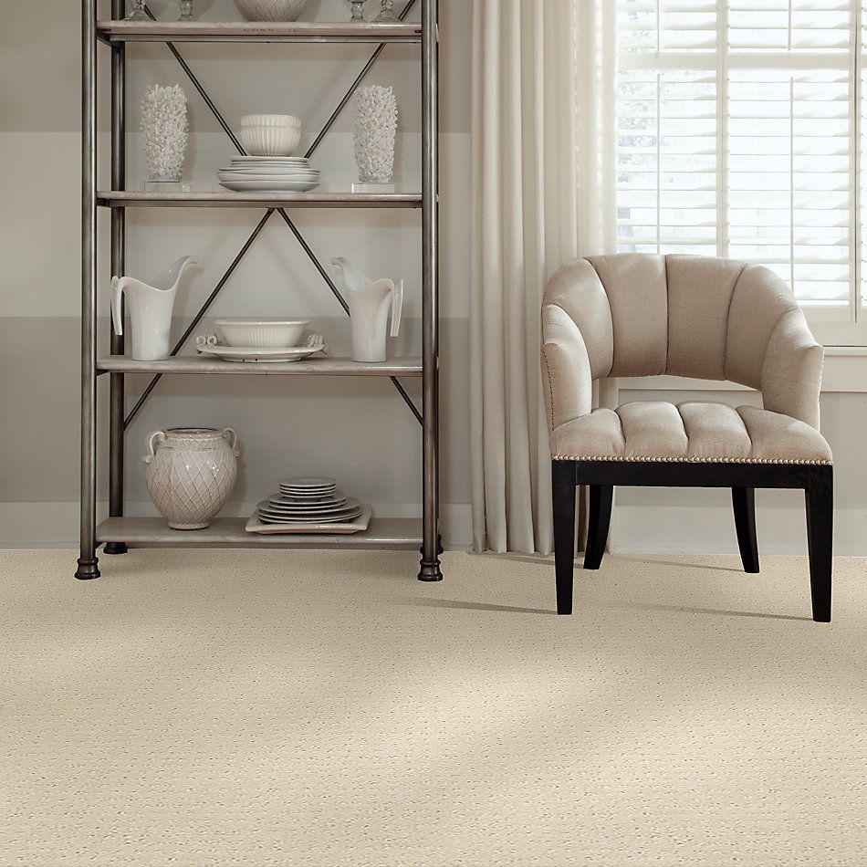 Shaw Floors Foundations Alluring Disposition Net Ivory Paper 00180_E9777
