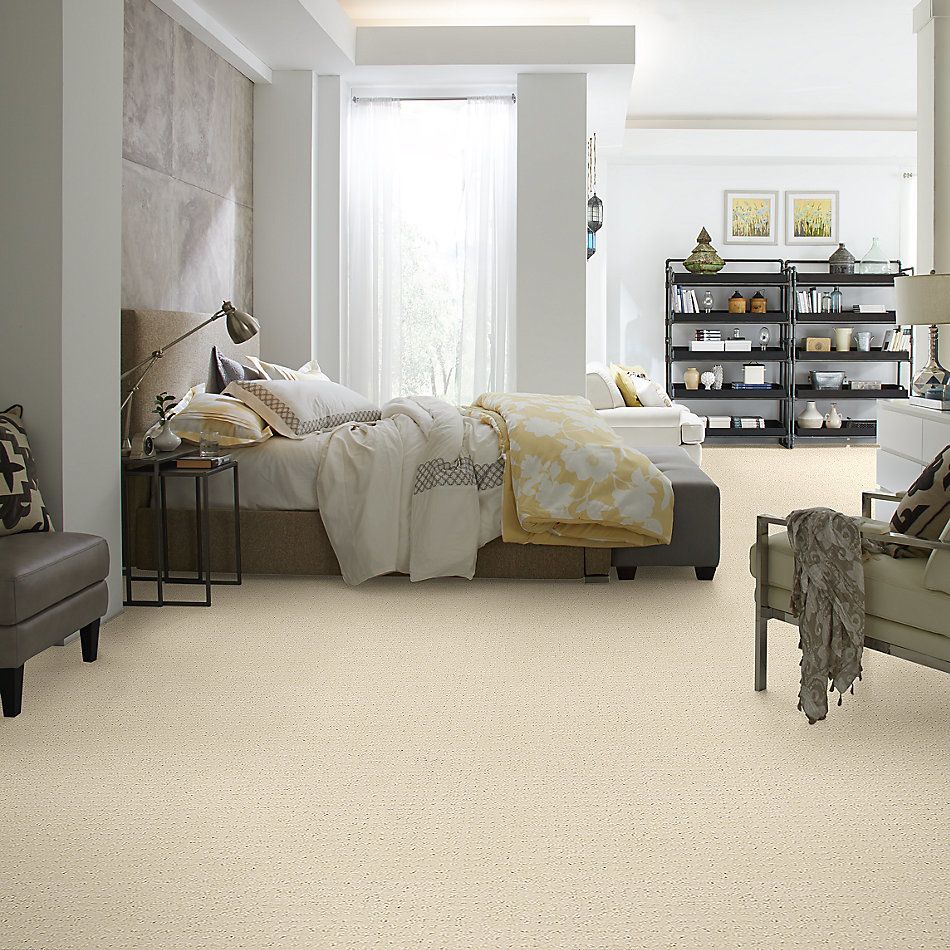 Shaw Floors Foundations Alluring Disposition Net Ivory Paper 00180_E9777