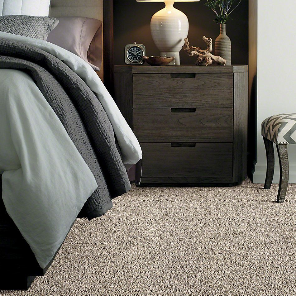Shaw Floors Anso Colorwall Platinum Texture Accents Bistro 00184_EA760