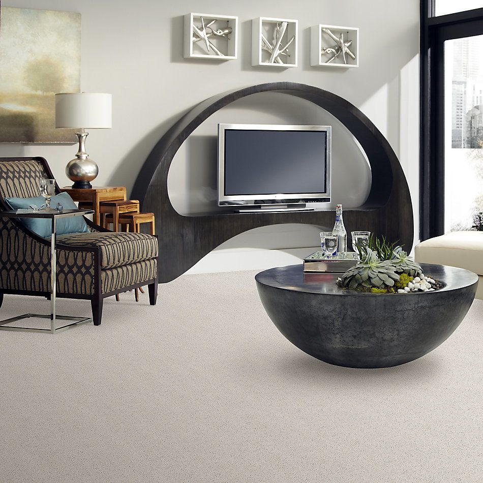Shaw Floors Simply The Best Suave Net Canvas 00190_5E388