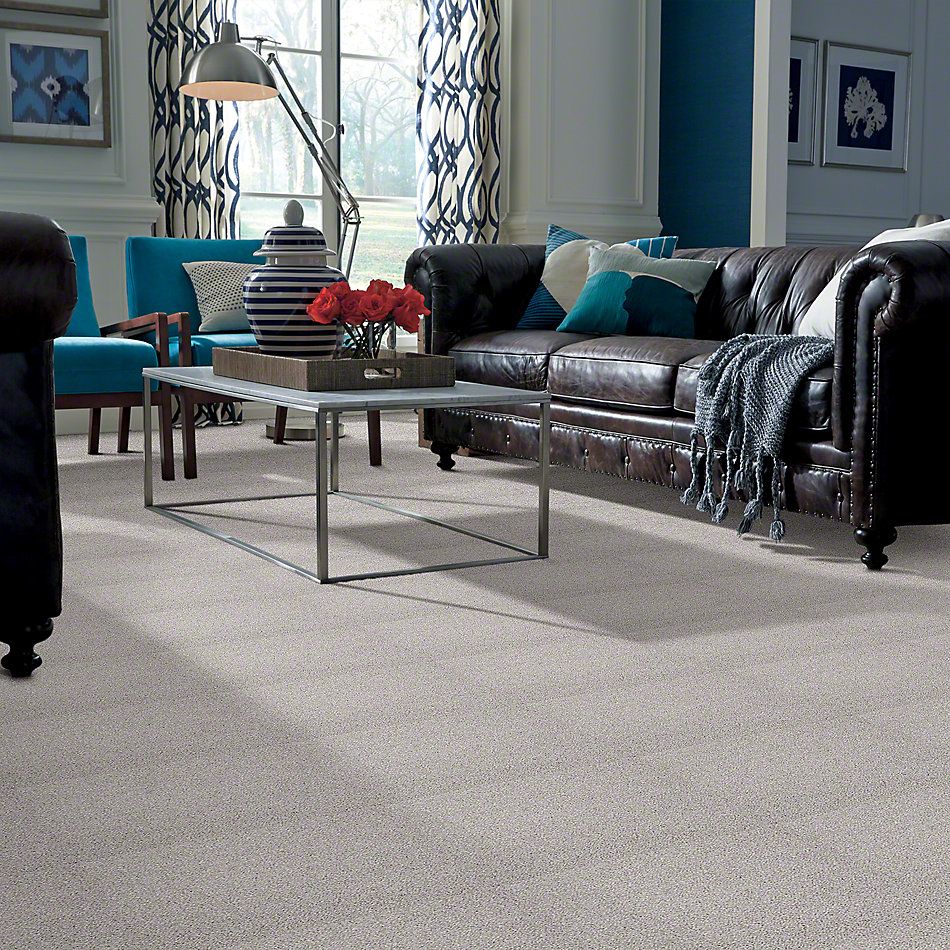 Shaw Floors Foundations Always Ready I Studio Taupe 00194_E9717