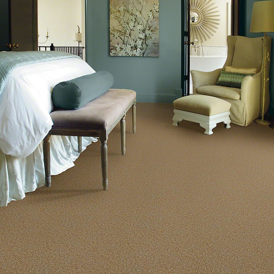 Shaw Floors Shaw Flooring Gallery Chromatic Buttered Toast 53633_00200