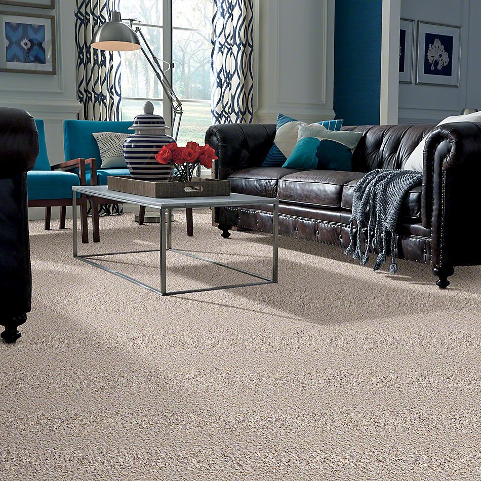 Shaw Floors Pure Waters 12 Sisal Weave 52H10_00200