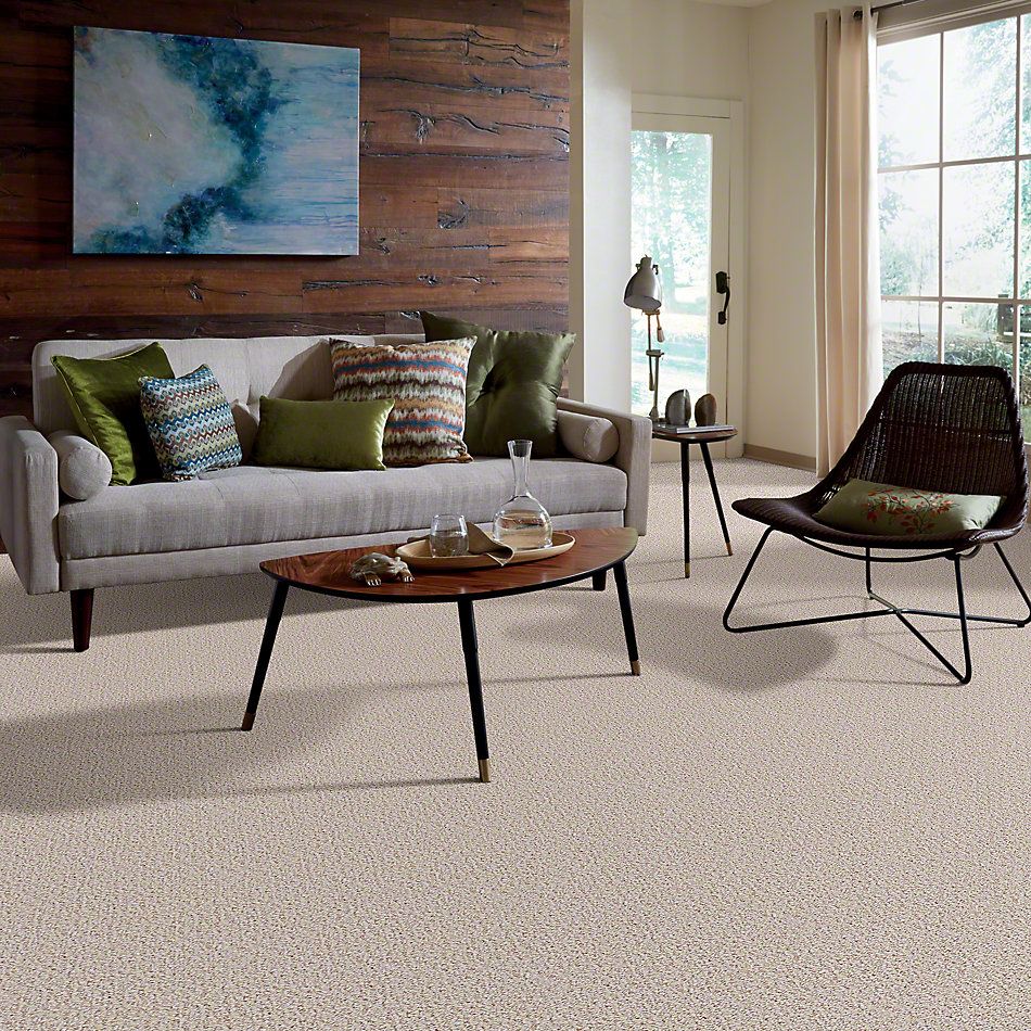 Shaw Floors Pure Waters 15 Sisal Weave 52H11_00200