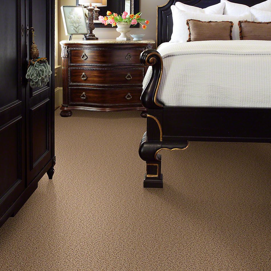 Shaw Floors Guess Work (s) Haystack 52T99_00200