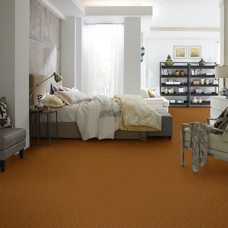 Shaw Floors This Is It Golden Tint 00200_52E51