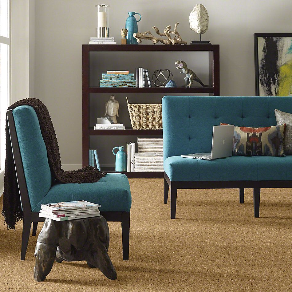 Shaw Floors Town Creek I 15′ Butter 52V12_00200