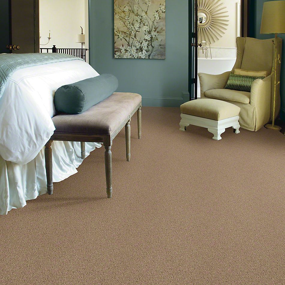 Shaw Floors Shaw Design Center Beautifully Simple I 15′ Honeycomb 00200_5C751