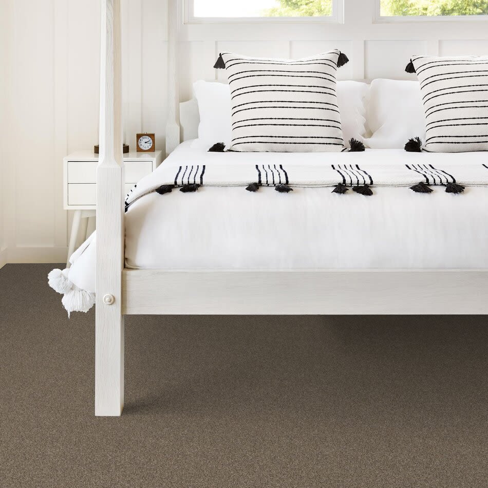 Shaw Floors Pet Perfect Grandiose Net Raw Wood 00200_5E501