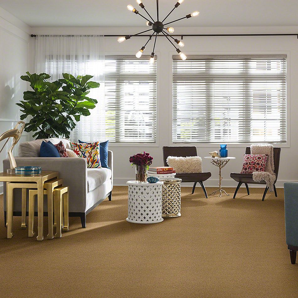 Shaw Floors Timeless Charm Loop Sun Shower 00200_E0405