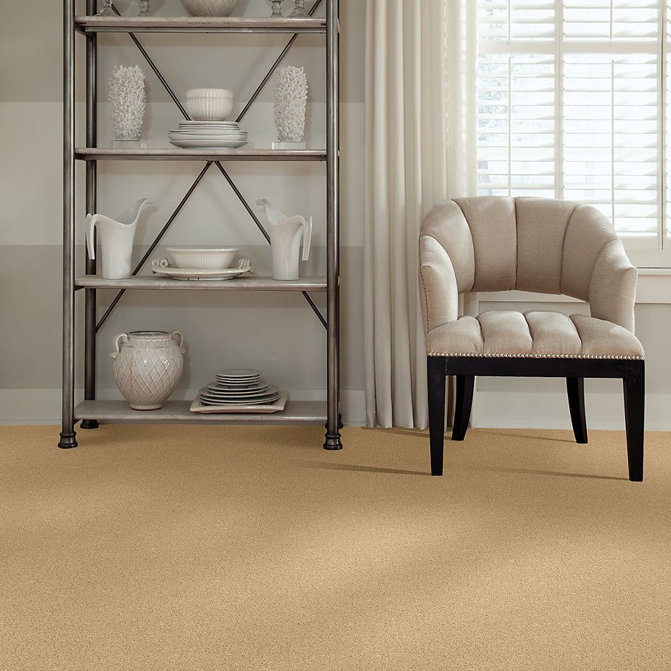 Shaw Floors Caress By Shaw Quiet Comfort Iv Vicuna 00200_CCB33