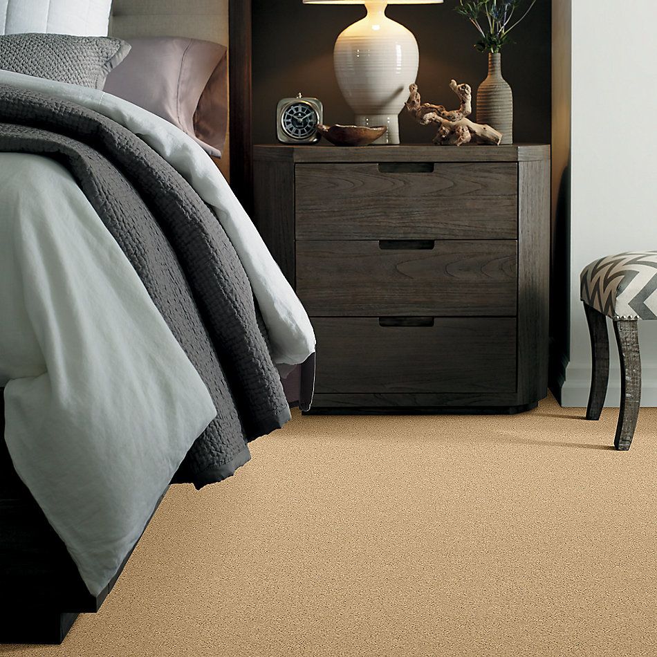 Shaw Floors Caress By Shaw Cashmere Iv Vicuna 00200_CCS04