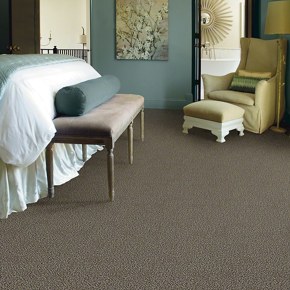 Shaw Floors Value Collections Because We Can I 12′ Net Muffin Top 00200_E9312
