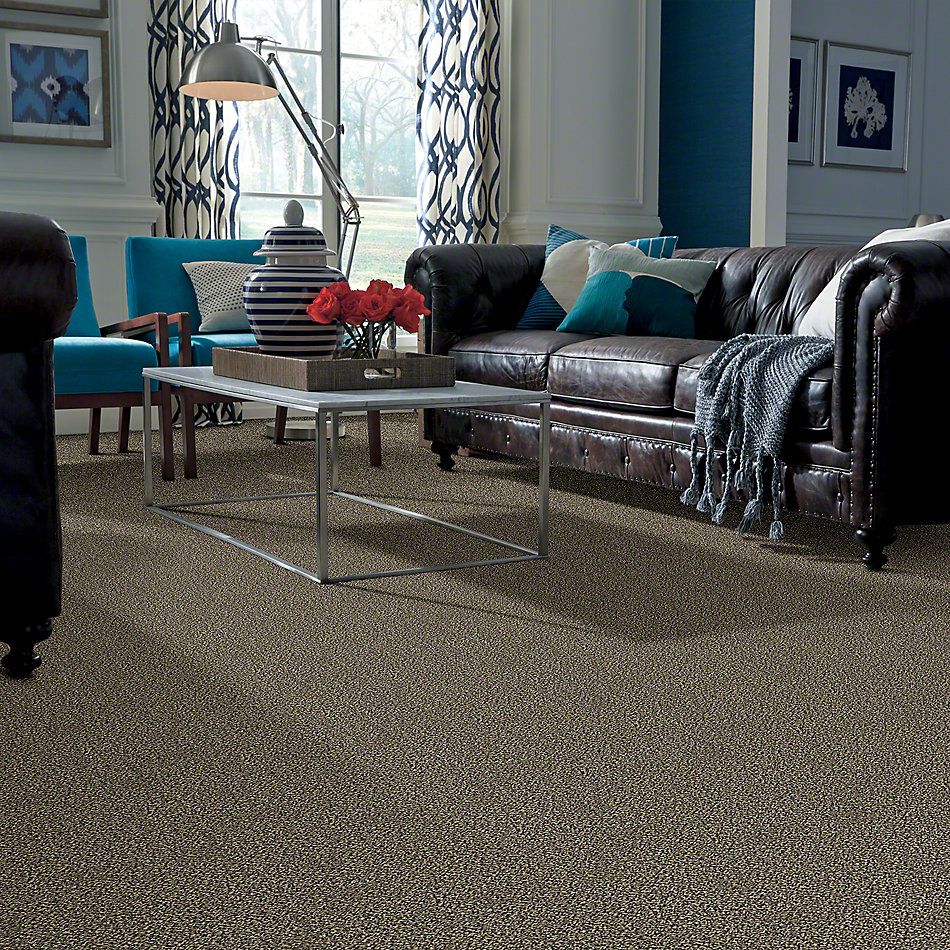 Shaw Floors Value Collections Because We Can I 12′ Net Muffin Top 00200_E9312