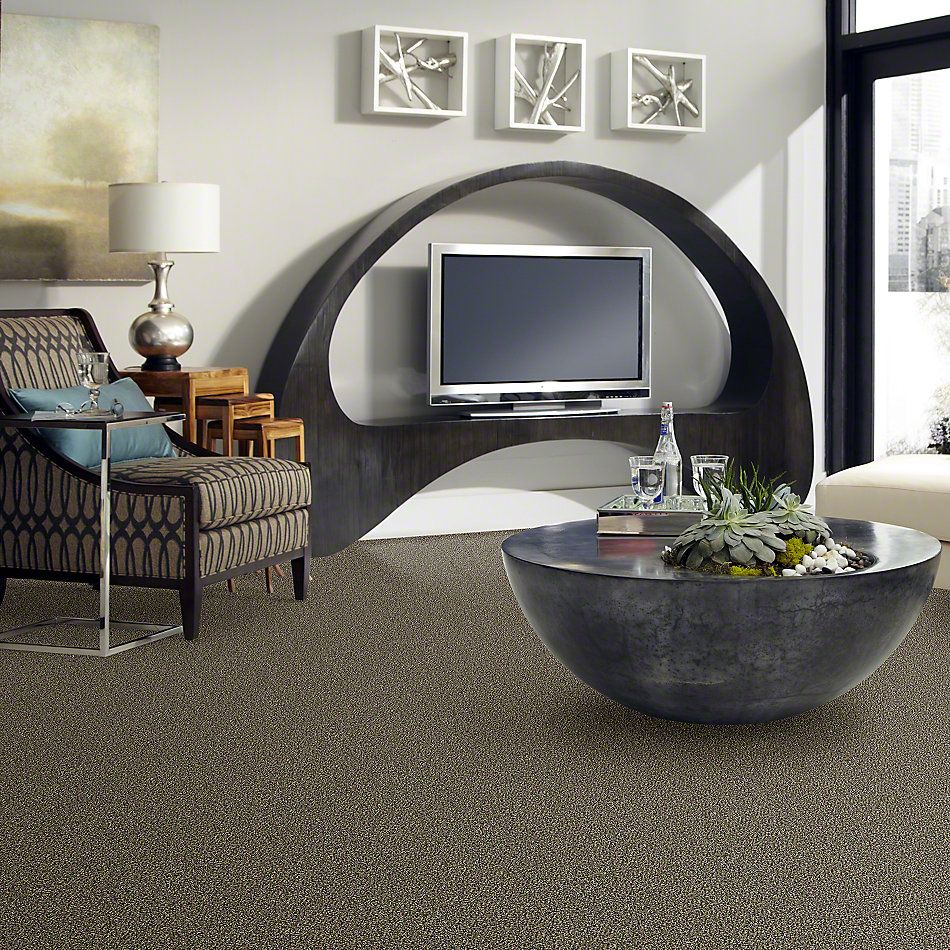 Shaw Floors Value Collections Because We Can I 15′ Net Muffin Top 00200_E9313