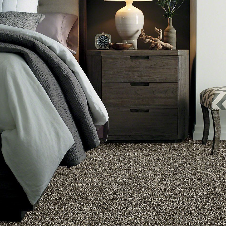 Shaw Floors Value Collections Because We Can II 12′ Net Muffin Top 00200_E9314