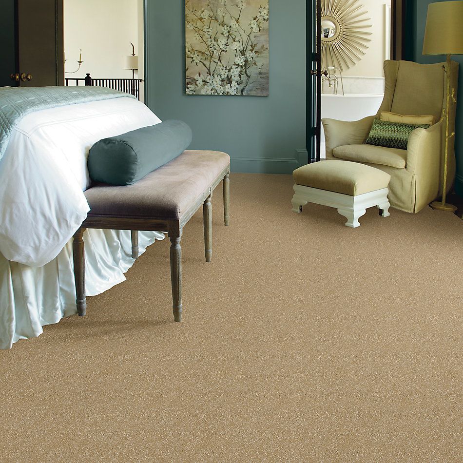 Shaw Floors Value Collections Passageway II 15 Net Butter 00200_E9621