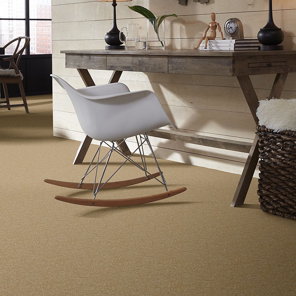 Shaw Floors Value Collections Passageway II 15 Net Butter 00200_E9621