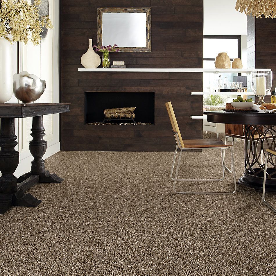Shaw Floors Value Collections Shake It Up Tweed Net Bits Of Brown 00200_E9858