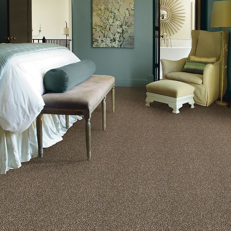 Shaw Floors Value Collections Shake It Up Tweed Net Bits Of Brown 00200_E9858